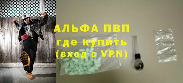 СК Зеленокумск