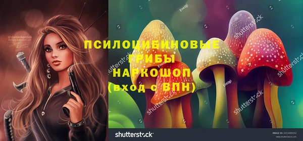СК Зеленокумск