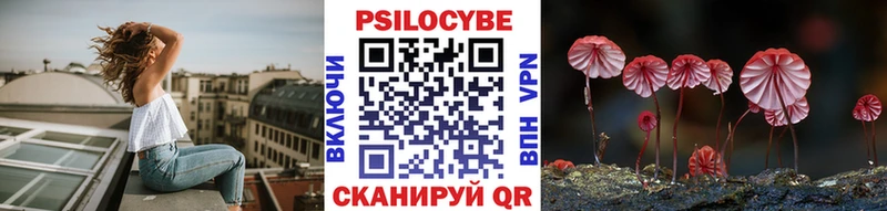 Псилоцибиновые грибы Psilocybine cubensis  Купить закладки  Чекалин 